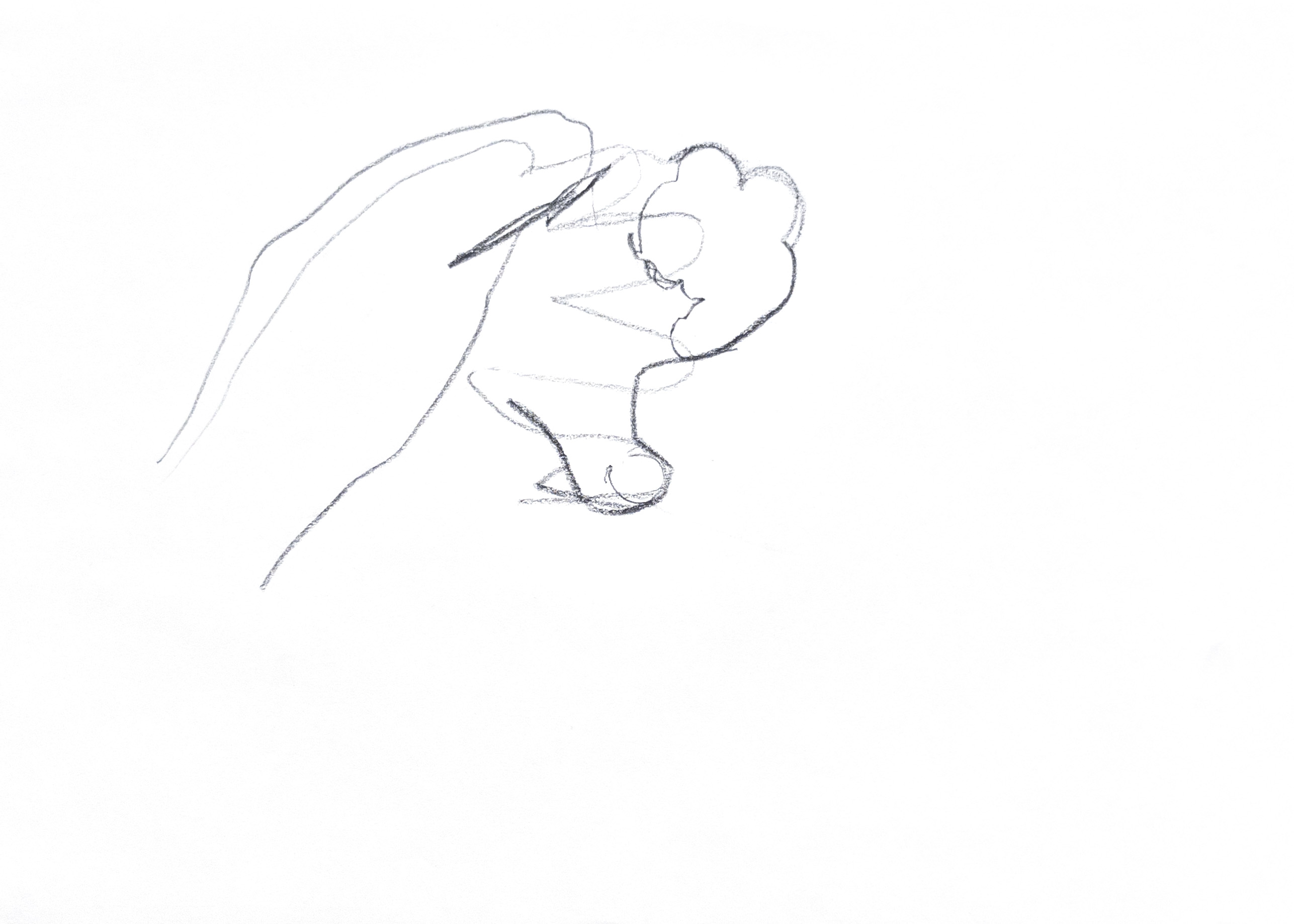 outlined drawing of a hand